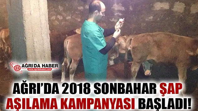 Ağrı'da 2018 Sonbahar Şap Aşılama Kampanyası Başladı