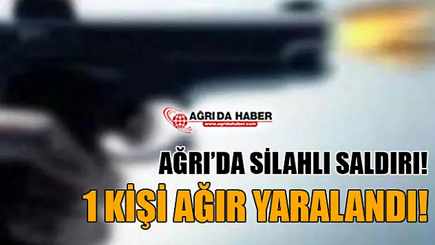 Ağrı'da Silahlı Saldırı! 1 Kişi Ağır Yaralandı!