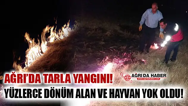 Ağrı'da Tarla Yangını! Yüzlerce Dönüm ve Canlı Türü Yok Oldu!