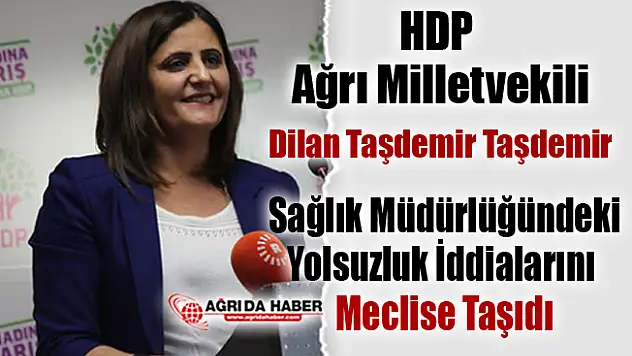 HDP Ağrı Milletvekili İl Sağlık Müdürlüğündeki Yolsuzluk İddialarını Meclise Taşıdı