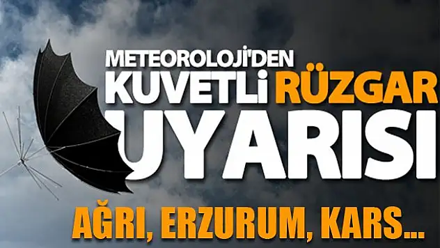 Meteoroloji'den Erzurum, Kars ve Ağrı için Uyarı!