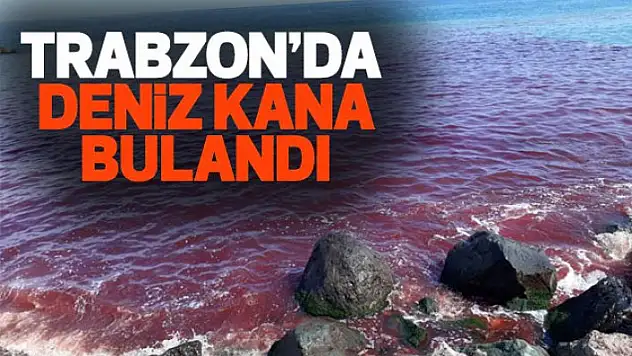 Trabzon'da korkutan Deniz görüntüsü! Deniz Kan Rengine Döndü