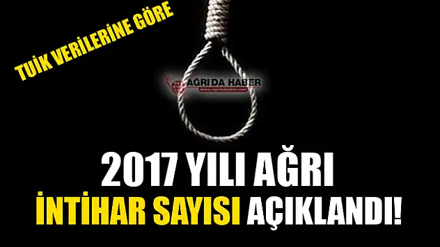 TUİK Verilerine göre 2017 Yılı Ağrı'da İntihar Edenlerin Sayısı!