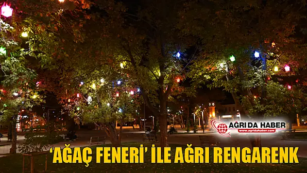 'Ağaç Feneri' ile Ağrı Artık Rengarenk