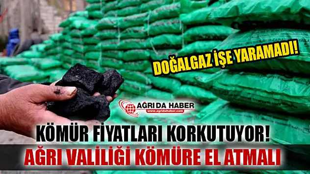 Ağrı'da Kömür fiyatları Halkı Korkutuyor!