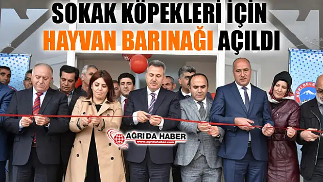 Ağrı'da Sokak Hayvanları İçin Yeni Barınak Açıldı