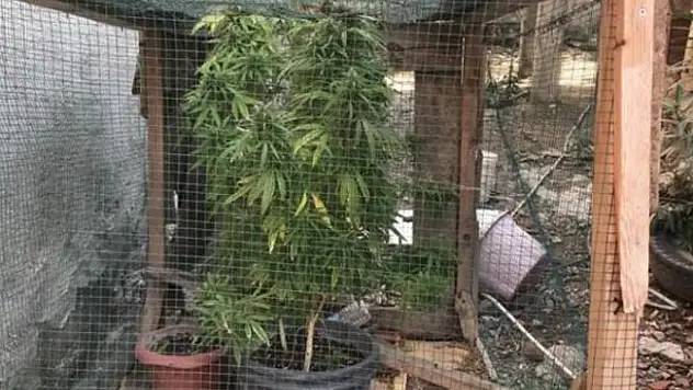 Bu Yöntem Şeytanın Bile Aklına Gelmez