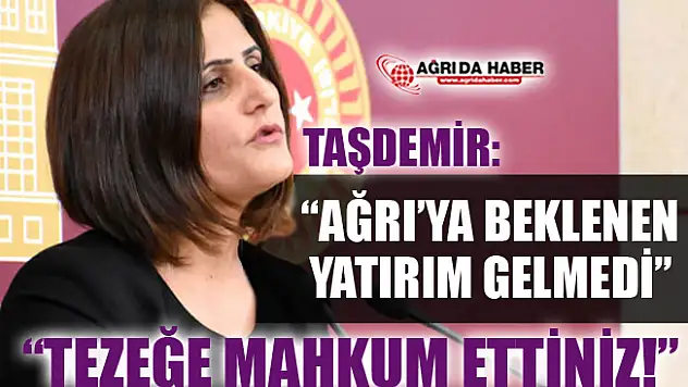 HDP Ağrı Milletvekili Dirayet Taşdemir'den Beklenen Yatırımın Yapılmadığı İddiası