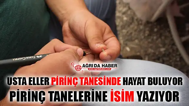 Usta Eller Pirinç Tanelerinde Hayat Buluyor
