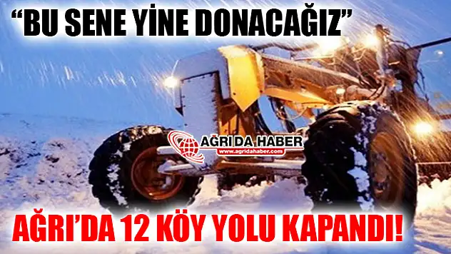 Ağrı'da Kar Yağışı! 12 Köy Yolu Ulaşıma Kapandı