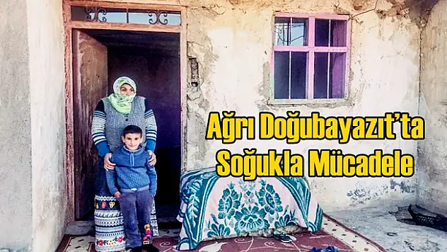 Ağrı Doğubayazıt'ta Soğukla Mücadele