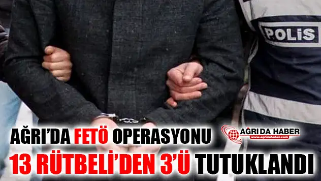 Ağrı Merkezli 8 İlde Yapılan FETÖ Operasyonunda 3 Kişi Tutuklandı
