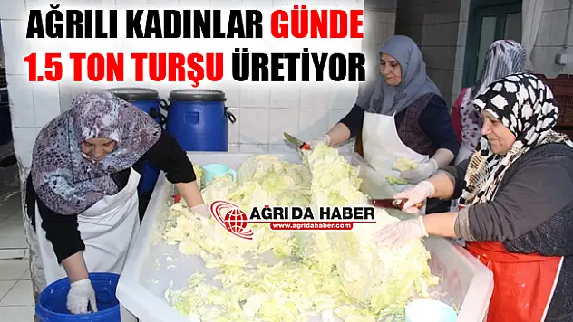 Ağrılı Kadınlardan Günlük 1.5 Ton Turşu Üretimi