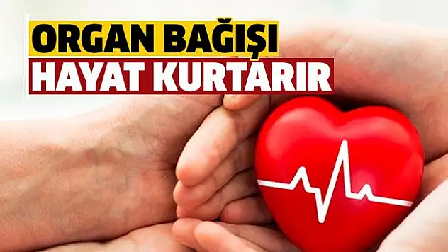 Organ Bağışı Haftasında Bingöl 218 kişi ile Destek oldu
