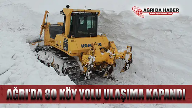 Ağrı'da Kar Yağışı 80 Köy Yolu ulaşıma kapandı