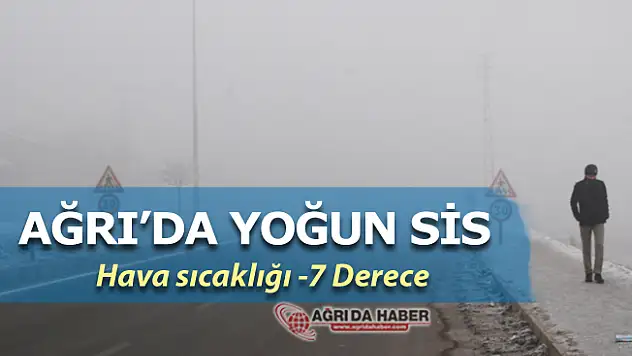 Ağrı'da Yoğun Sis Şoför ve Yayalara zor anlar yaşattı