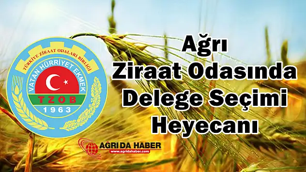 Ağrı Ziraat Odası Başkanlığında Delege Seçimi Heyecanı