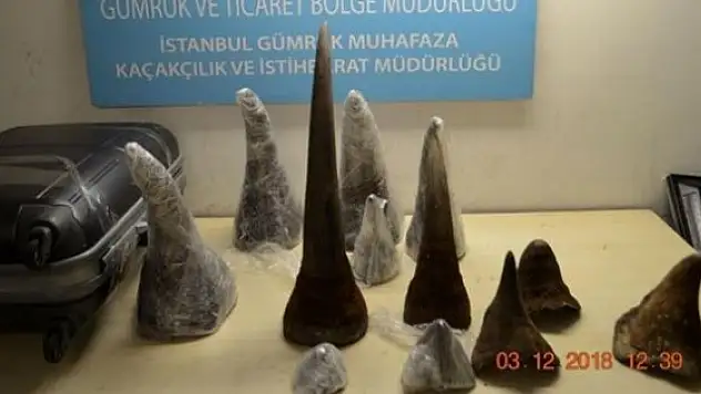 Bir Servet Değerinde! Kaçak...