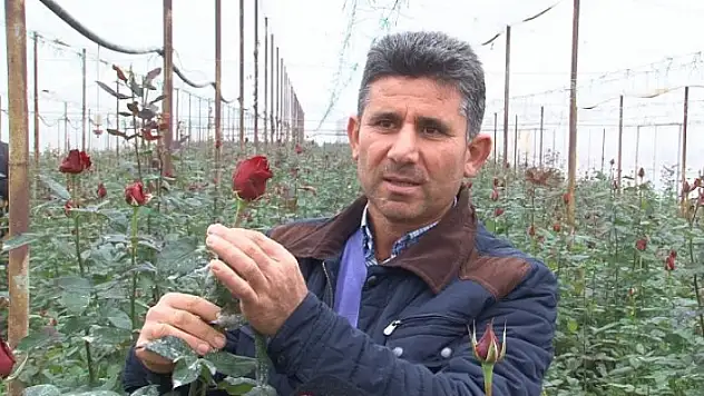 Günlük 200 Lira Veriyor Çalışacak Kimse Bulamıyor