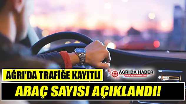 TÜİK Verilerine göre Ağrı'da Trafiğe Kayıtlı Araç Sayısı