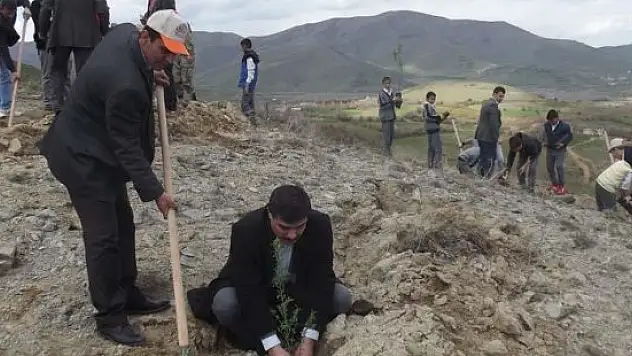 Sivrice'de 2 bin 500 badem fidanı dikildi