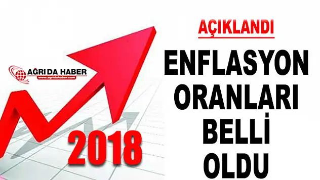 2018 Yılı Enflasyon Rakamları Açıklandı