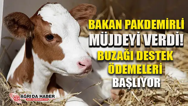Tarım ve Orman Bakanı Pakdemirli Buzağı Destek Ödemeleri için Müjdeyi Verdi
