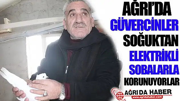 Ağrı'da Güvercinler Elektrikli Sobalarla Korunuyor!