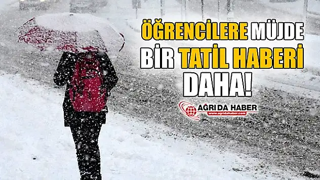 Ağrı'da Kar Yağışı Nedeniyle Eğitime 1 Gün Daha  Ara Verildi..