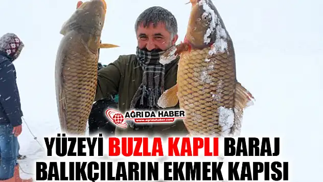 Ağrı'da Buz Tutan Yazıcı Barajı Balıkçılara Ekmek Kapısı Oldu