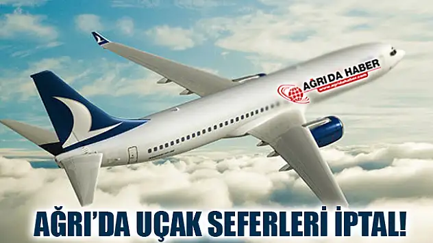 Ağrı'da Yoğun Sis Hava Ulaşımını Engelledi