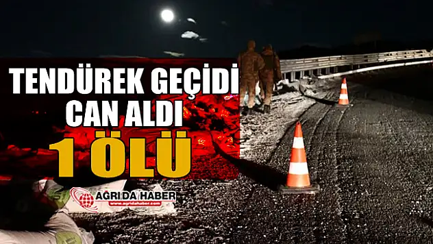 Tendürek Geçicidi Can aldı: 1 Ölü