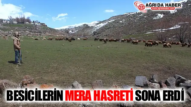 Ağrı'da Besicilerin 'Mera' Hasreti Sona Erdi