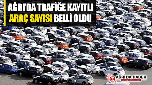 Ağrı'da Trafiğe Kayıtlı Araç Sayısı Belli Oldu