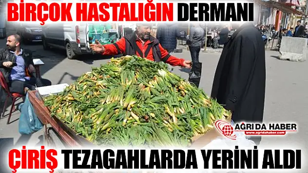Birçok Hastalığın Doğal İlacı Çiriş Otu Ağrı'da Tezgahlarda Yerini Aldı