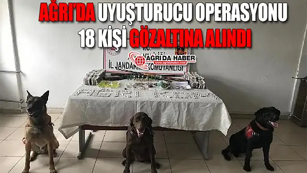 Ağrı'da Uyuşturucu Operasyonu! 18 Kişi Gözaltına Alındı!