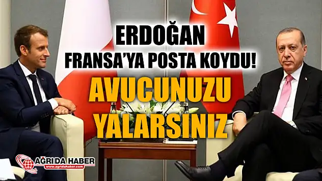 Erdoğan Fransa'ya posta koydu: Avucunuzu yalarsınız