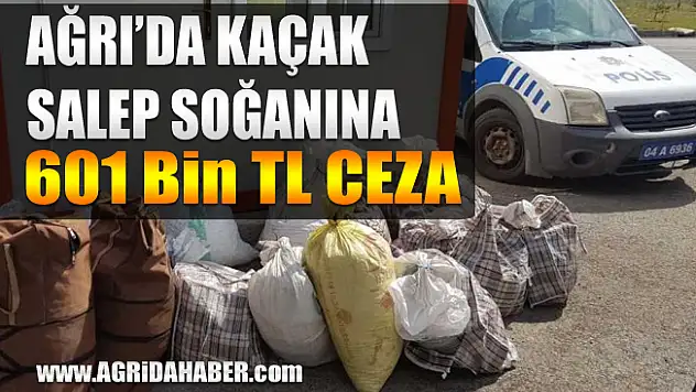 Ağrı'da Doğadan Salep Toplayan İki kişiye Ceza Yağdı