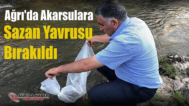 Ağrı İl Tarım ve Orman Müdürlüğü Akarsulara Sazan Yavrusu bıraktı