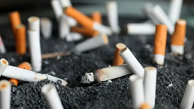 DSÖ Açıkladı: Tütünle Mücadelede Türkiye Birinci Sırada