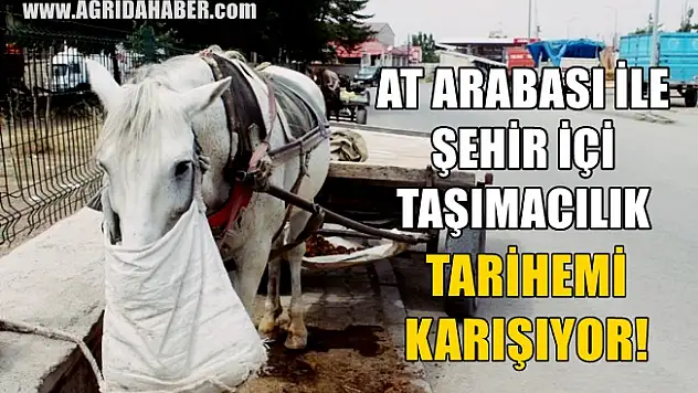 Ağrı'da At Arabacılık Mesleği Yok olmak üzere