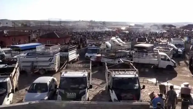 Ağrı'dan 133 Bin Kurbanlık