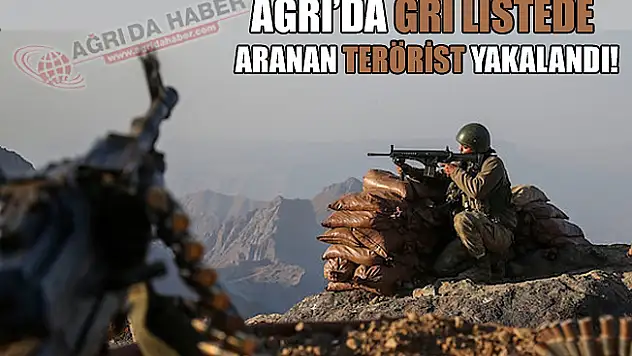 Ağrı'da Gri Kategoride Aranan Terörist Yakalandı!
