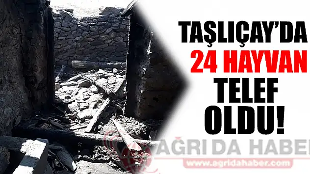 Taşlıçay'da 24 Hayvan Telef Oldu!