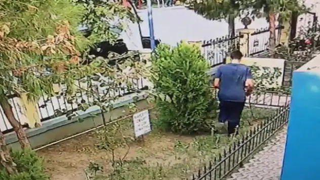 Yavru Kediyi Tekmeleyerek Öldürdü!