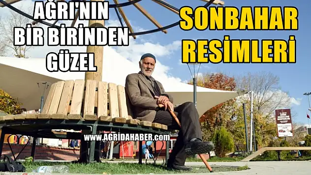Ağrı'nın Bir Birinden Güzel Sonbahar Görüntüleri