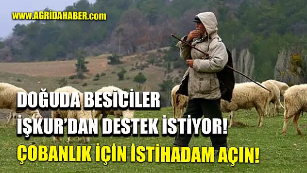 Doğuda Besiciler İŞKUR'dan Çobanlık için İstihdam İstiyor