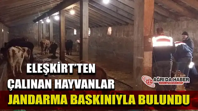 Ağrı'da 16 Adet Büyükbaş Hayvan Çalan Hırsızlar Yakalandı