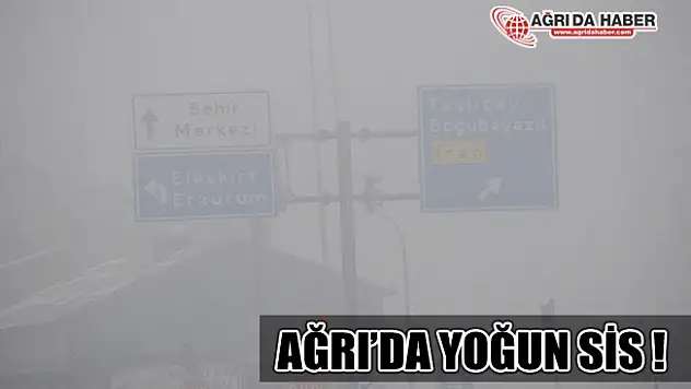Ağrı'da Yoğun Sis