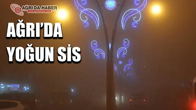 Ağrı'da Yoğun Sis Zor Anlar Yaşattı